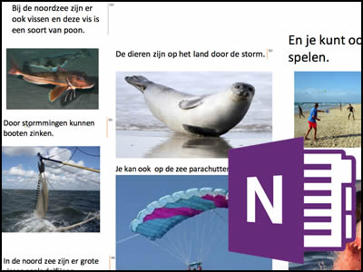 OneNote Water Project